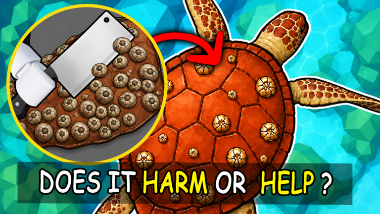Slime Out Fish scaling area where players scrape fish and feed animals for Cash